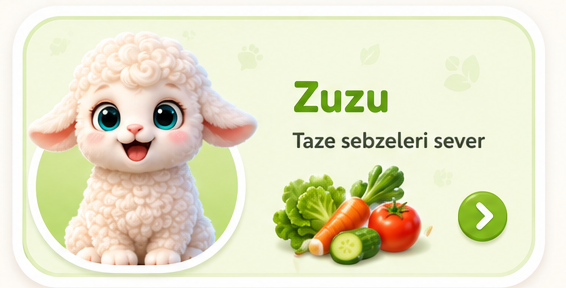 Zuzu seçim kartı